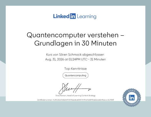 Quantencomputer verstehen – Grundlagen in 30 Minuten